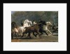 Study for the Horsemarket, 1852-54 by Rosa Bonheur