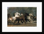 Study for the Horsemarket, 1852-54 by Rosa Bonheur