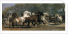 Study for the Horsemarket, 1852-54 by Rosa Bonheur