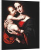 Madonna and Child by Giovanni Pietro Rizzoli Giampietrino