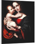 Madonna and Child by Giovanni Pietro Rizzoli Giampietrino
