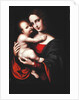Madonna and Child by Giovanni Pietro Rizzoli Giampietrino