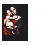 Madonna and Child by Giovanni Pietro Rizzoli Giampietrino