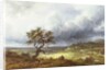 Countryside under a Stormy Sky by Georges Michel