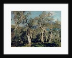 Olives, Corfu, 1912 by John Singer Sargent