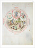 MS 2a Astron 1, fol 5.2 Astrological chart depicting Wednesday by School German