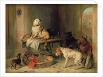 A Jack in Office, c.1833 by Edwin Landseer