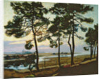 La Hume, Arcachon by Pierre Gaston Rigaud