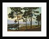 La Hume, Arcachon by Pierre Gaston Rigaud