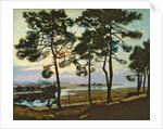 La Hume, Arcachon by Pierre Gaston Rigaud