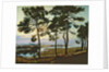 La Hume, Arcachon by Pierre Gaston Rigaud