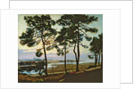 La Hume, Arcachon by Pierre Gaston Rigaud