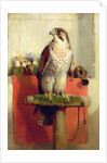 Falcon, 1837 by Edwin Landseer