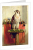 Falcon, 1837 by Edwin Landseer