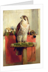 Falcon, 1837 by Edwin Landseer