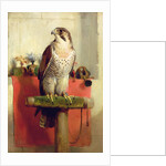Falcon, 1837 by Edwin Landseer