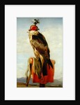 Hooded Falcon by Edwin Landseer