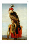 Hooded Falcon by Edwin Landseer