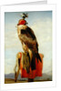 Hooded Falcon by Edwin Landseer