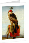 Hooded Falcon by Edwin Landseer
