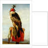 Hooded Falcon by Edwin Landseer