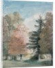 Study of Trees in a Park by John Constable