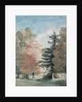 Study of Trees in a Park by John Constable