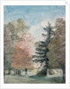 Study of Trees in a Park by John Constable