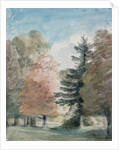 Study of Trees in a Park by John Constable