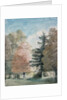 Study of Trees in a Park by John Constable
