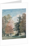 Study of Trees in a Park by John Constable