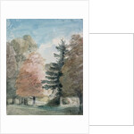 Study of Trees in a Park by John Constable
