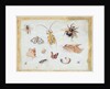 A Study of Butterflies and other Insects by Jan van the Elder Kessel