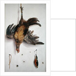 A Hen and a Kingfisher Hanging on a String by Jacobus Biltius