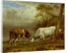 Two Bulls with Locked Horns, 1653 by Paulus Potter