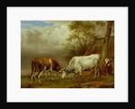 Two Bulls with Locked Horns, 1653 by Paulus Potter