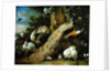 Peacock, parakeet, pelican, crane and poultry by Melchior de Hondecoeter