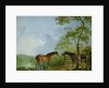 Mare and Stallion in a Landscape by Sawrey Gilpin
