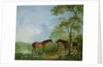 Mare and Stallion in a Landscape by Sawrey Gilpin