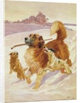Three dogs playing in the snow, 1881 by John Charlton