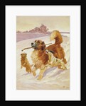 Three dogs playing in the snow, 1881 by John Charlton