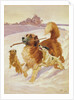Three dogs playing in the snow, 1881 by John Charlton