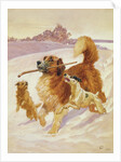 Three dogs playing in the snow, 1881 by John Charlton