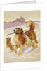 Three dogs playing in the snow, 1881 by John Charlton