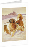 Three dogs playing in the snow, 1881 by John Charlton