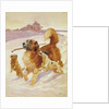Three dogs playing in the snow, 1881 by John Charlton