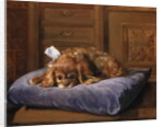 King Charles Spaniel by C. Fulton