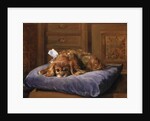 King Charles Spaniel by C. Fulton