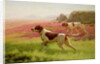 Pointers in a Landscape, 19th century by Harrington Bird