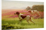 Pointers in a Landscape, 19th century by Harrington Bird